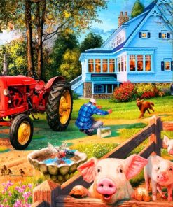 Pigs In Farm Paint By Numbers