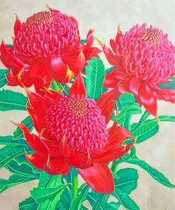 Aesthetics Waratah Plants Paint By Numbers