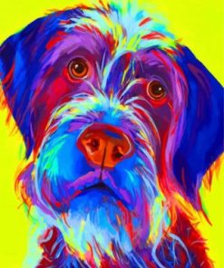 Wirehaired Pointing Griffon Dog paint by numbers