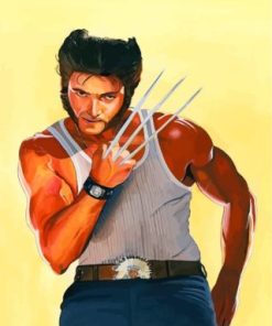 Wolverine Marvel paint by numbers