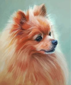 Pomeranian Dog Paint By Numbers