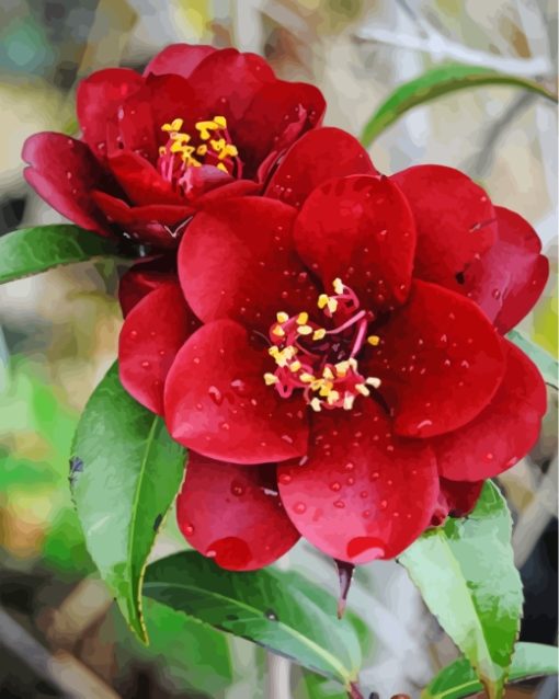 Aesthetic Red Camellia Paint By Numbers