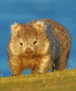 Australia Wombat Paint By Numbers