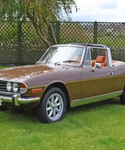 Brown Triumph Stag Paint by numbers