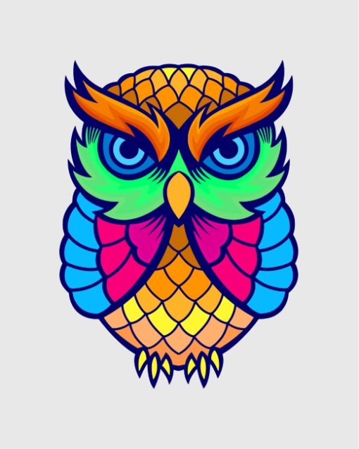 Colorful Owl Paint By Numbers