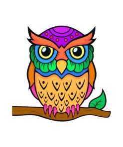 Colorful Owl paint by numbers