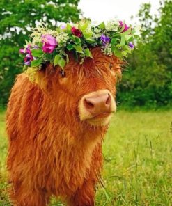 Cow Wearing Flower Crown Paint By Numbers