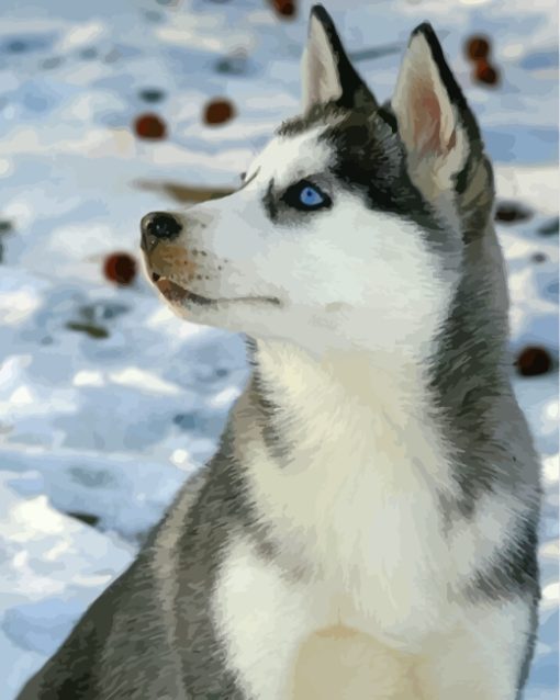 Cute Husky In Snow Paint By Numbers