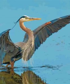 Great Blue Heron Paint By Numbers