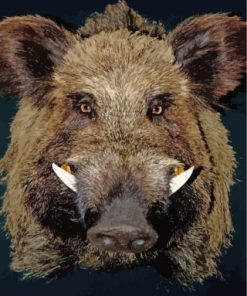 Boar Face paint by numbers