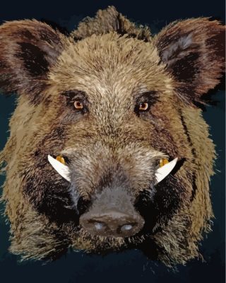 Boar Face paint by numbers