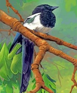 Magpie Bird On Stick paint by numbers