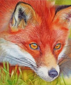 Red Fox Paint By Numbers