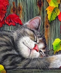 Sleepy Cat Paint By Numbers