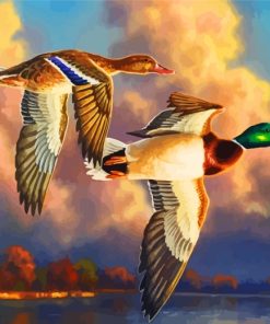 Waterfowl Birds Paint By Numbers