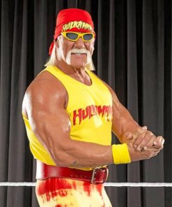 Wrestler Hulk Hogan Paint By Numbers