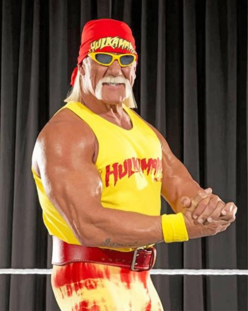 Wrestler Hulk Hogan Paint By Numbers