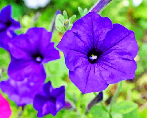 Blue Petunia Paint By Numbers