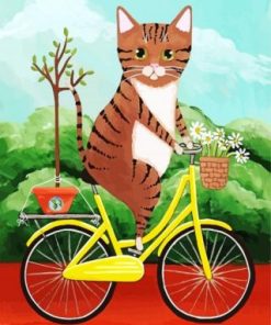 Cat On Bicycle Paint By Numbers