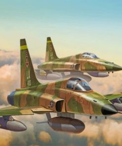 F 5e Tiger Aircraft Paint By Numbers