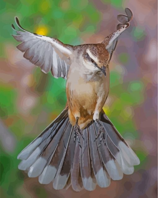 Northern Mockingbird Paint By Numbers