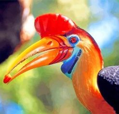 Hornbill Bird Animal Paint By Numbers