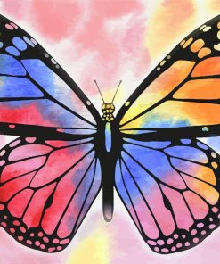 Multicolored Butterfly Paint By Numbers