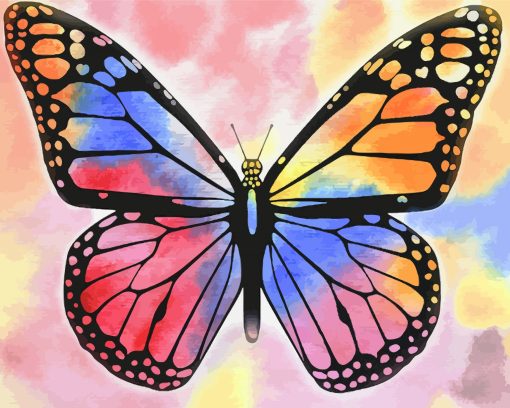 Multicolored Butterfly Paint By Numbers