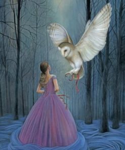 Princess With Owl Paint By Numbers