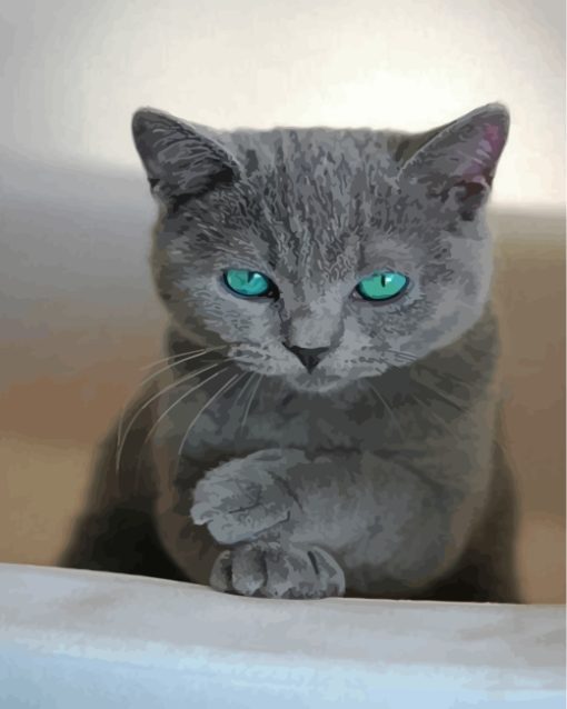 Russian Blue Cat Paint By Numbers