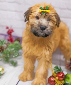 Soft Coated Wheaten Terrier Paint By Numbers