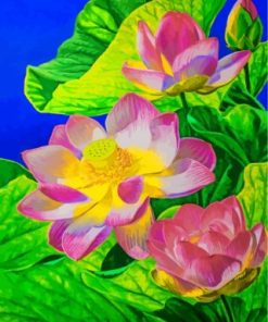 Water Lily Paint By Numbers