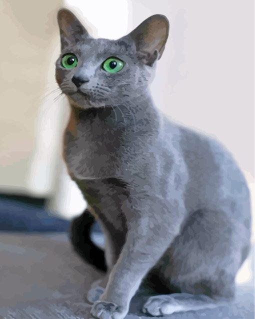 Adorable Russian Blue Cat Paint By Numbers