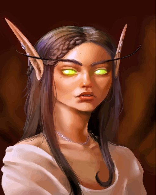 Aesthetic Elf Woman Paint By Numbers