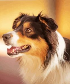 Aesthetic Tri Color Border Collie Paint By Numbers