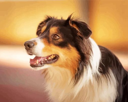 Aesthetic Tri Color Border Collie Paint By Numbers