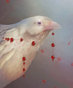 White Raven Paint By Numbers