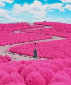 Hitachi Seaside Park Paint By Numbers