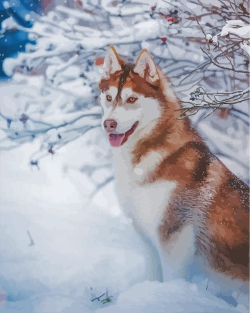 Brown Husky Paint By Numbers