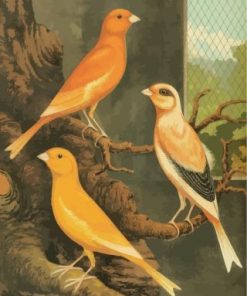 Canary Birds paint by numbers