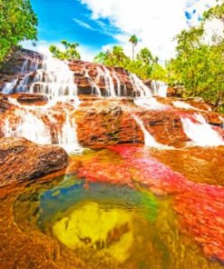 Cano Cristales Paint By Numbers