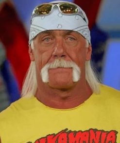 Hulk Hogan Paint By Numbers