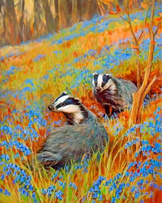 Cute Badgers Paint By Numbers