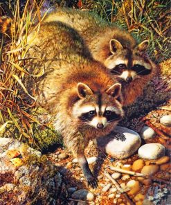 Cute Raccoons Paint By Numbers