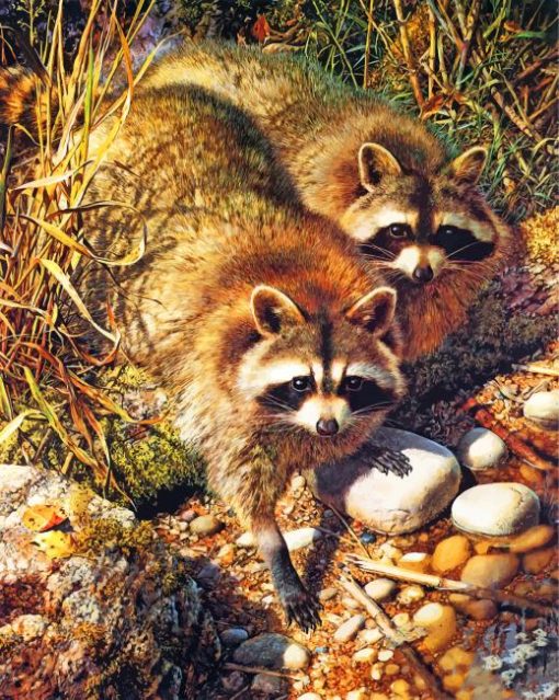 Cute Raccoons Paint By Numbers