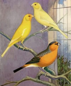 Domestic Canary Paint By Numbers