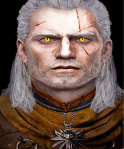 Geralt Of Rivia Illustration Paint By Numbers