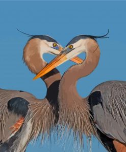 Great Blue Heron Couple Paint By Numbers