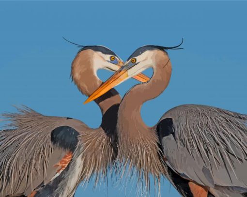 Great Blue Heron Couple Paint By Numbers