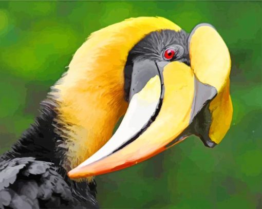 Great Hornbill Paint By Numbers